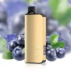 Alibarbar Ingot 9000 Blueberry Blast