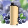 Alibarbar Ingot 9000 Blueberry Mint