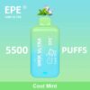 Vape Descartável 5500 Puffs – Cool Mint – Unik Ultra