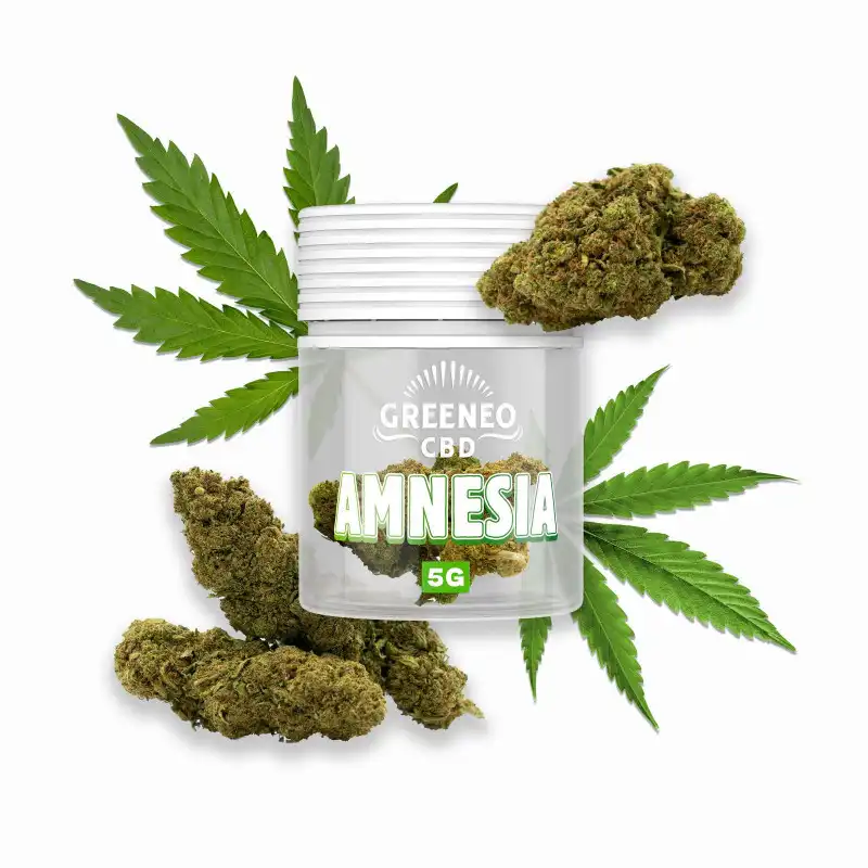 amnesia-flores-cbd-5gr.webp