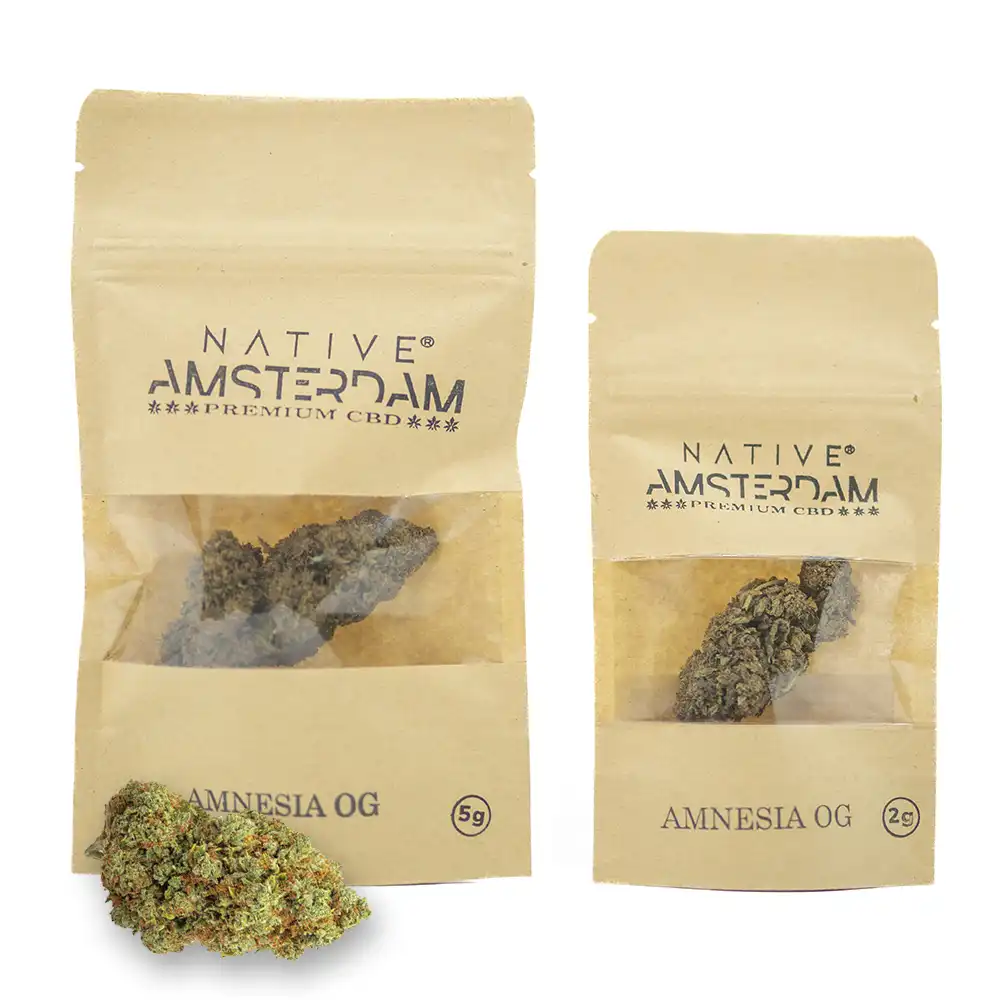 cbd-native-amsterdam-amnesia-og.webp