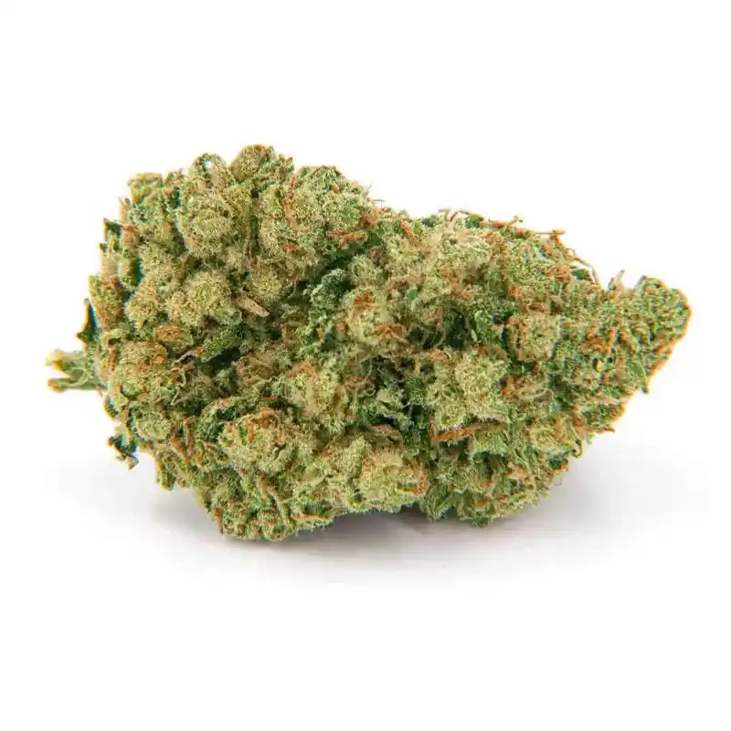 flores-de-cbd-amnesia.webp