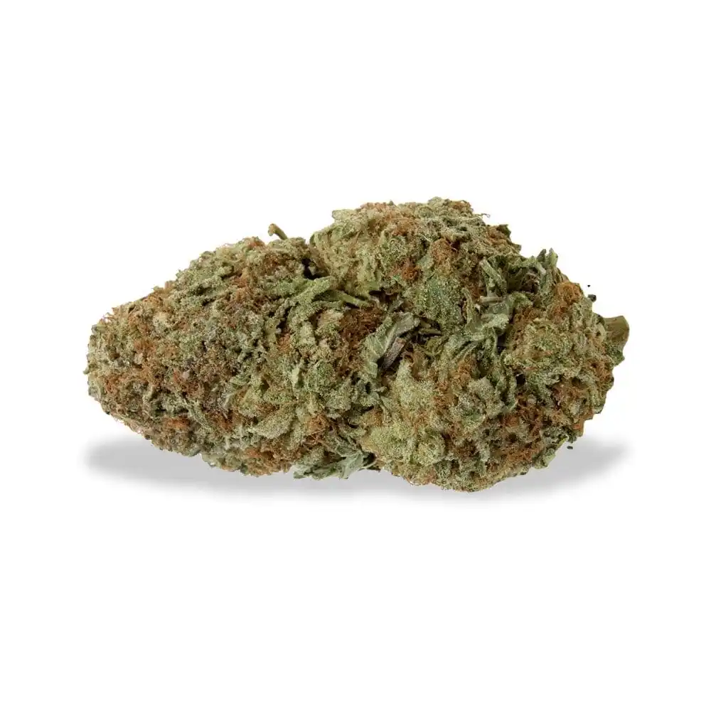 gorilla-glue-flor-cbd.webp