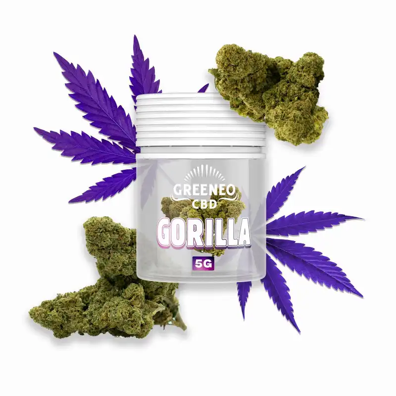 gorilla-glue-flores-cbd-5gr.webp