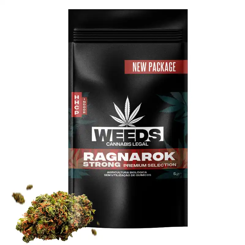 ragnarok-hhcp-5gr-strong.webp