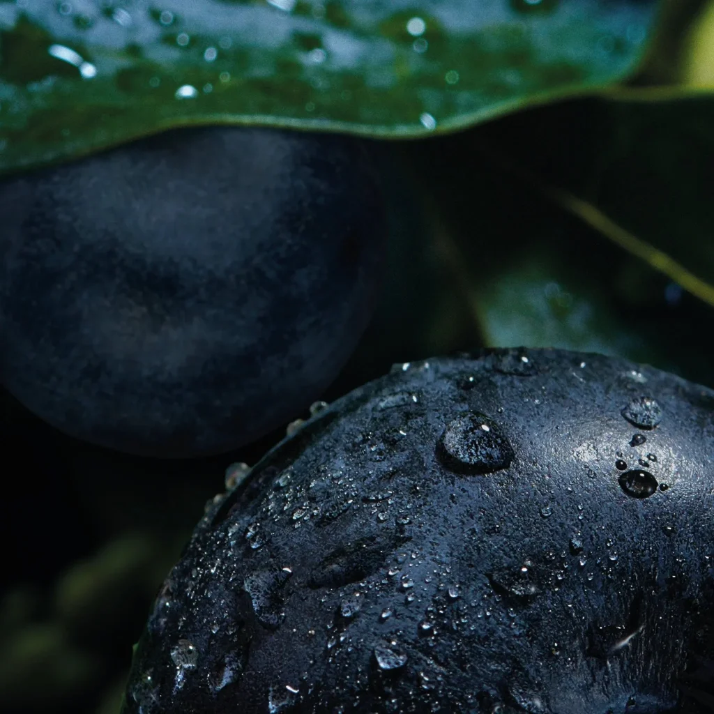 RELX Infinity2 Pod-Blueberry Splash - Image 2