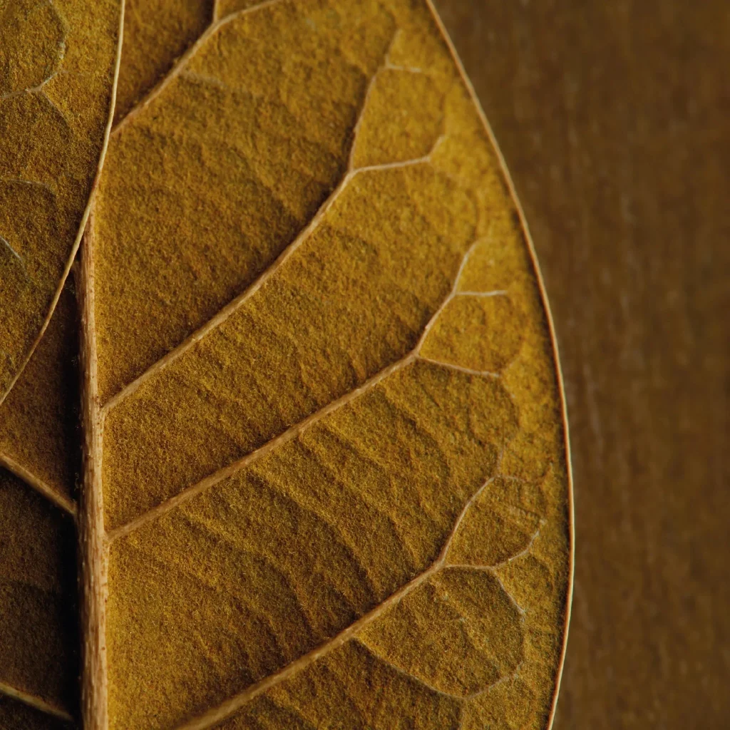 RELX Infinity2 Pod-Classic Tobacco - Image 2