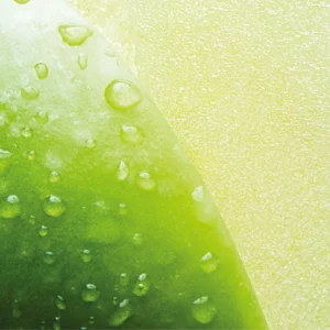 Alternative view of RELX Infinity2 Pod-Crisp Apple (Green Apple)