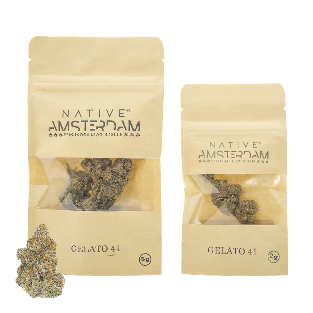 CBD Gelato 41 2gr e 5gr – Native Amsterdam