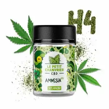 H4CBD Amnesia 5gr 30% – Le Petit Chanvrier