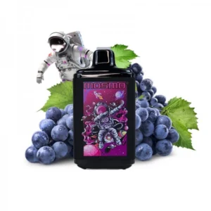 Vape Descartavel – 9000 puffs Moonwalk – Grape